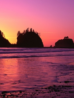 алый рассвет. вишнёвый закат фото. вишневый закат исполнитель. вишневый закат хочу домой. вишневый закат группа.